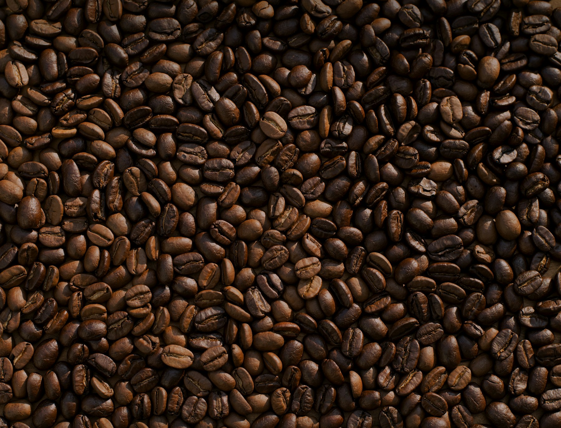 Granos de café tostado, con tonos cálidos y textura natural
